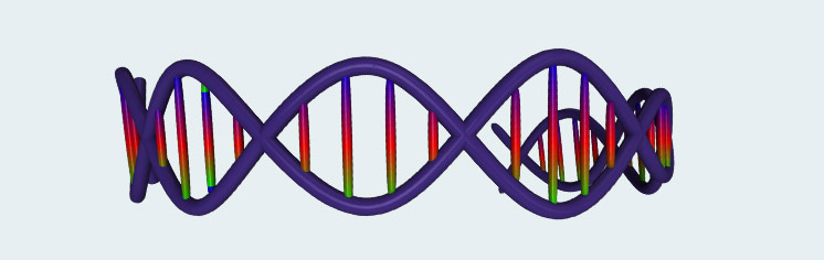 Continued learning from experience and collaborative sciences and innovations